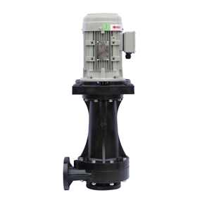 Out-of-Tank Vertical Chemical Pump