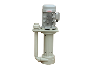 In-tank vertical pump with round plate
