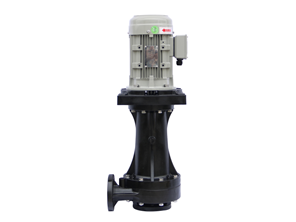 Out-of-Tank Vertical Chemical Pump