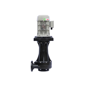 Out-of-Tank Vertical Chemical Pump