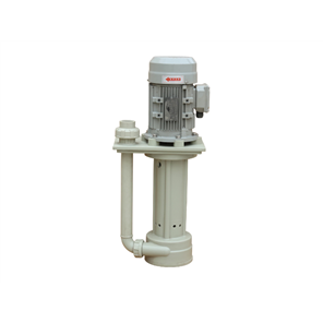 In-tank vertical pump with round plate