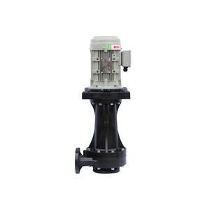 Out-of-Tank Vertical Chemical Pump