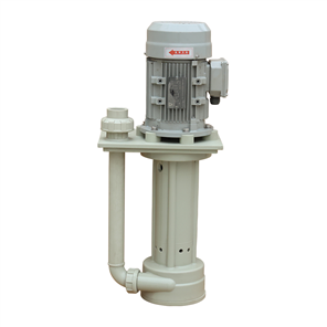 In-tank vertical pump with round plate